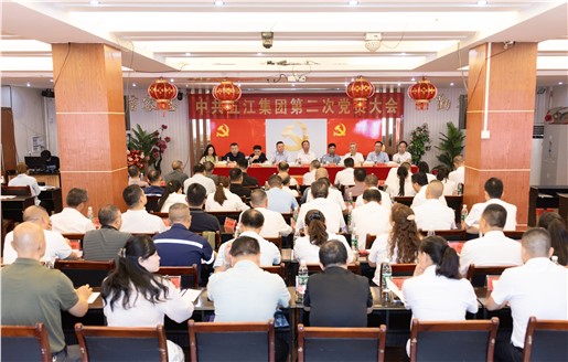 中共DB官方网站集团第二次党员大会胜利召开选举产生新一届党委、纪委领导班子